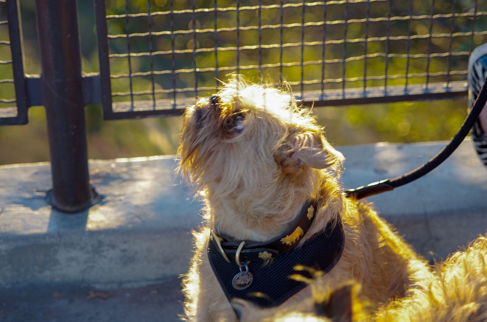 Griffith Observatory  064